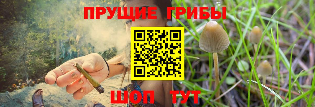 Псилоцибиновые грибы прущие грибы  Вход с VPN  Новокубанск 